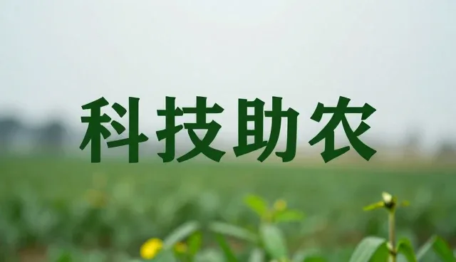 农业技术推广中渠道客户使用与维护的关键建议