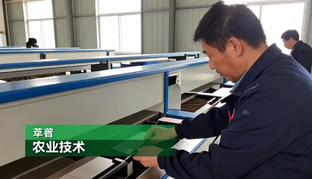 农产品收购成为三农升级新选择